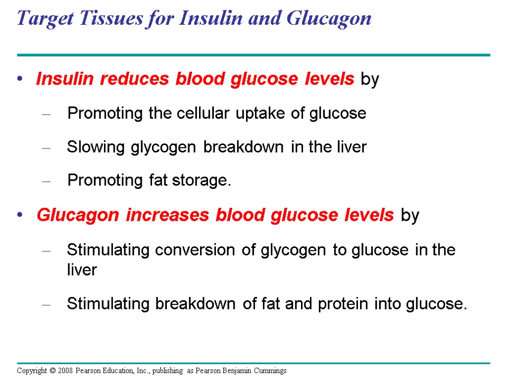 Target Tissues for Insulin and Glucagon Insulin reduces blood glucose levels by Promoting the